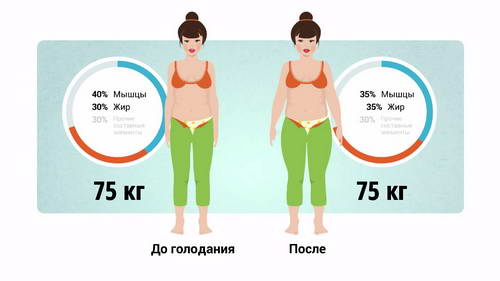 почему нельзя голодать при похудении 05-min