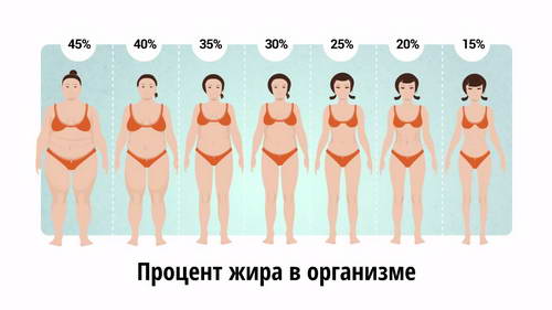 почему нельзя голодать при похудении 07-min